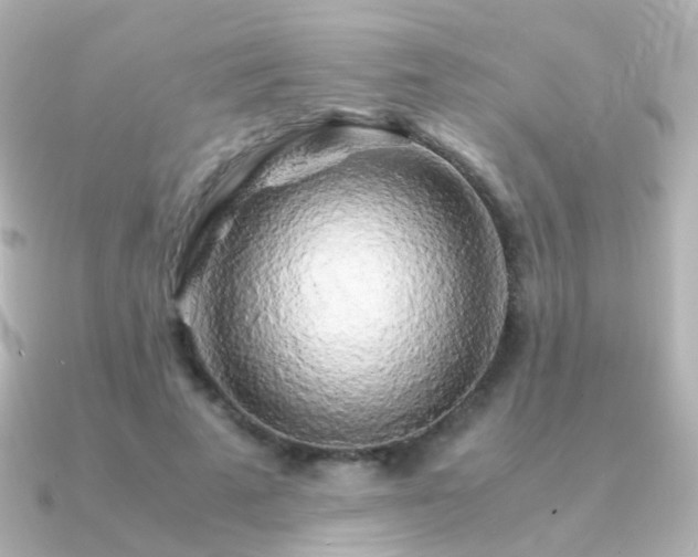 X0000091240689200708091436