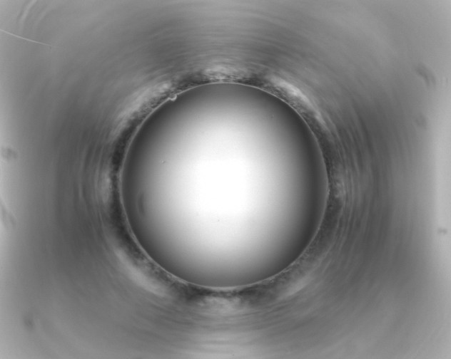 X0000091240690200708091436