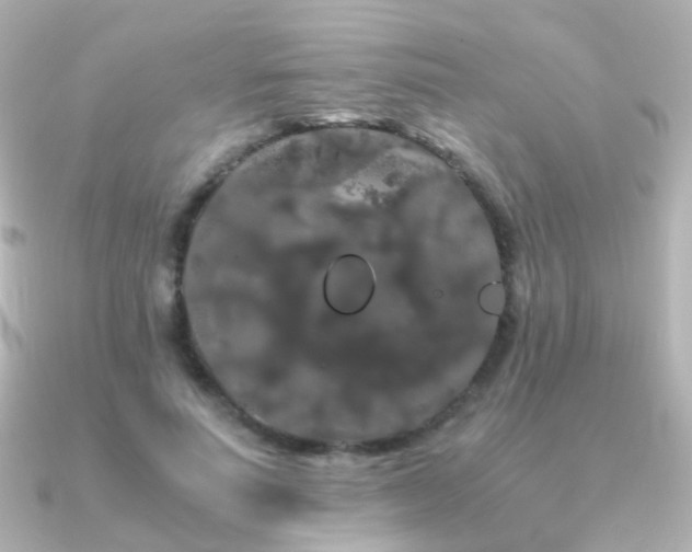 X0000091240691200708091436
