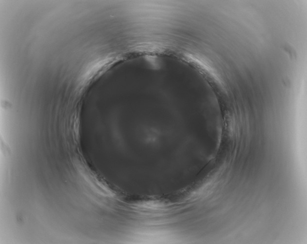 X0000091240692200708091436