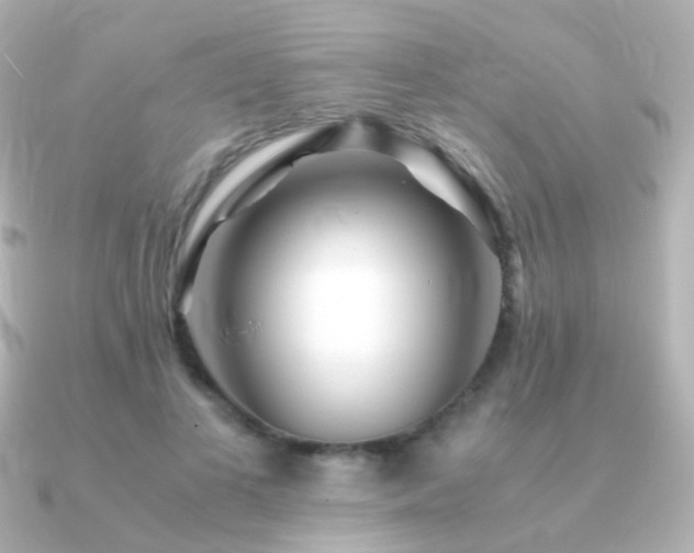 X0000091240693200708091436