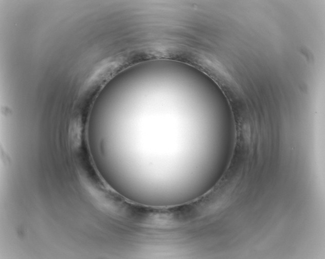 X0000091240694200708091436