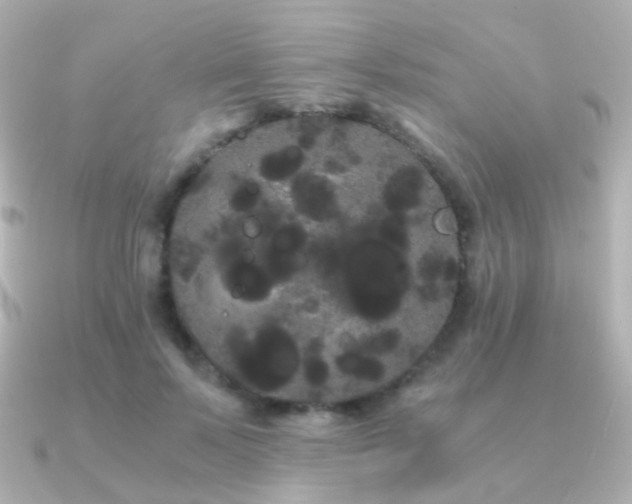 X0000091240695200708091435