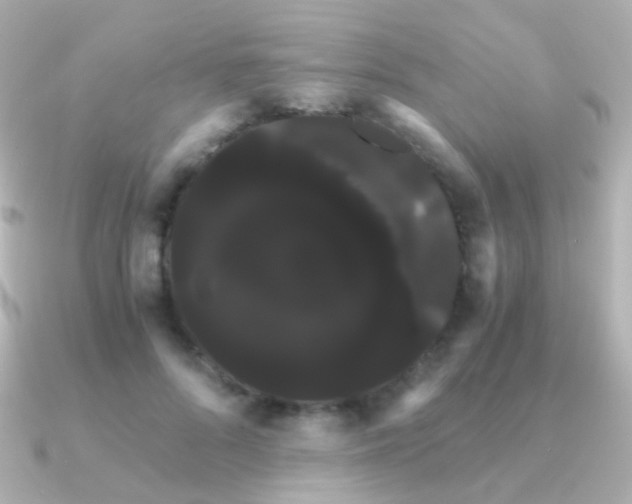 X0000091240696200708091435