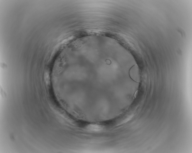 X0000091240699200708091435