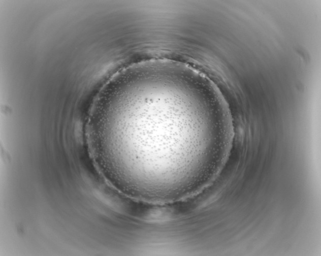 X0000091240700200708091435
