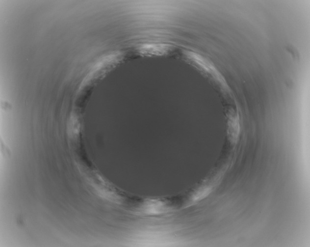 X0000091240701200708091435