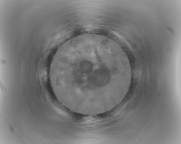 X0000091240703200708091435