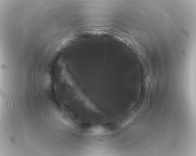 X0000091240704200708091435