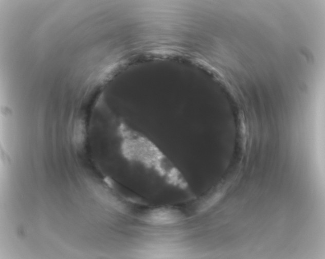 X0000091240708200708091435