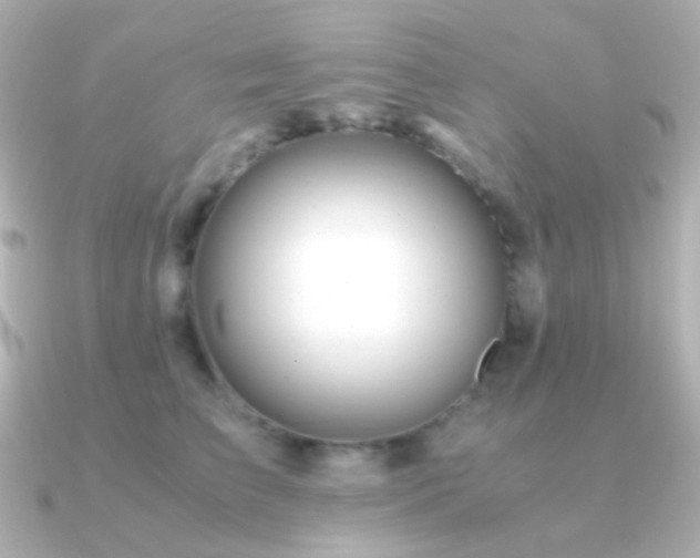 X0000091240709200708091435