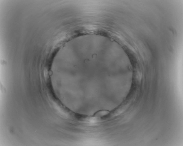 X0000091240711200708091435