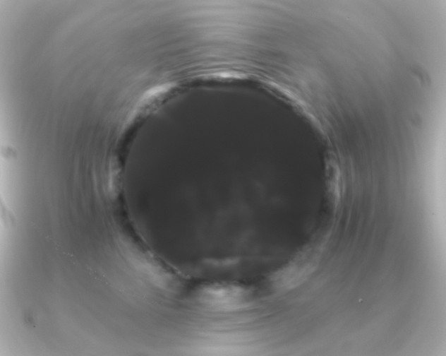 X0000091240712200708091435