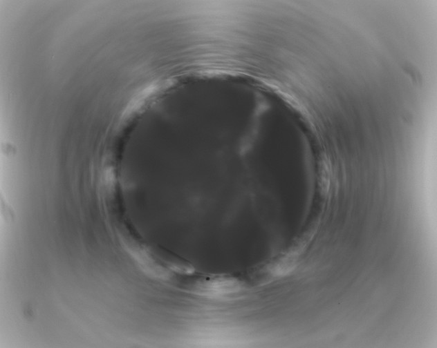 X0000091240716200708091435