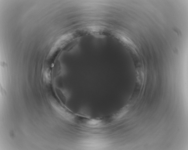 X0000091240718200708091435