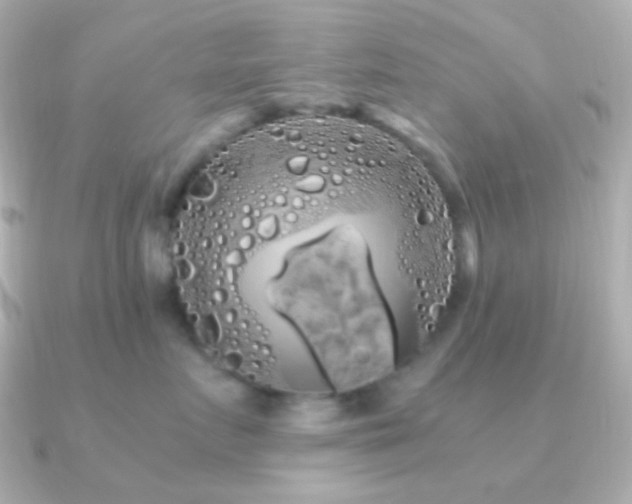 X0000091240719200708091435