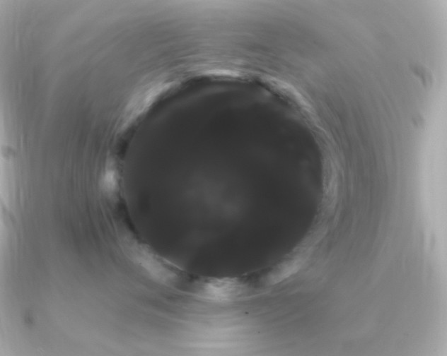 X0000091240720200708091435