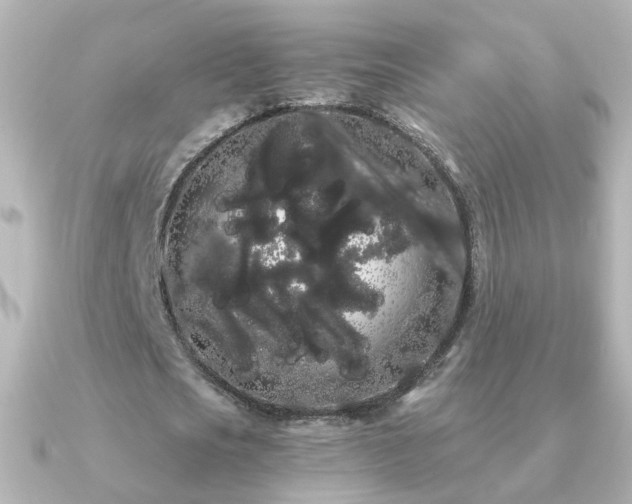 X0000091240721200708091435