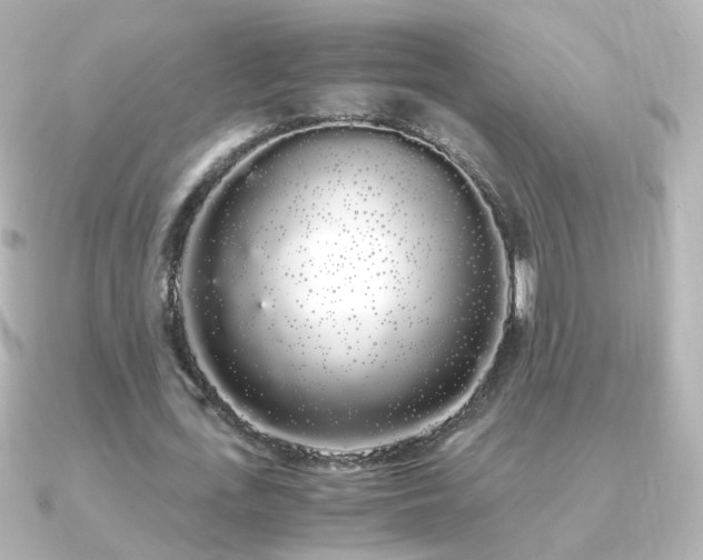 X0000091240723200708091435