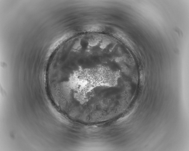 X0000091240725200708091435