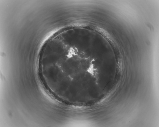 X0000091240726200708091435