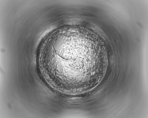 X0000091240727200708091435
