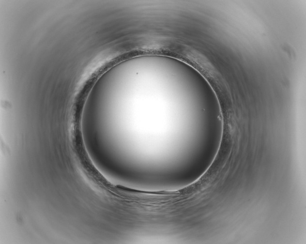 X0000091240728200708091435