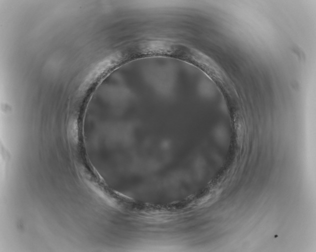 X0000091240729200708091435