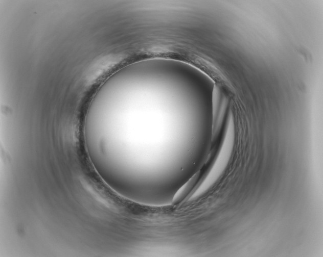 X0000091240732200708091435