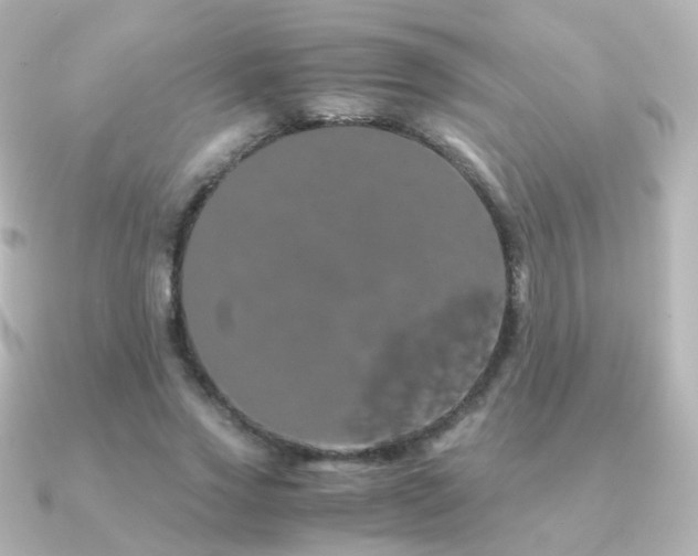 X0000091240733200708091435