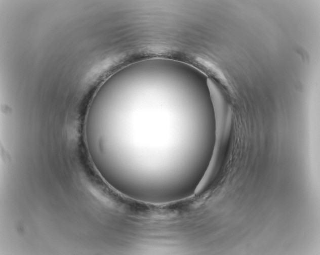 X0000091240736200708091435