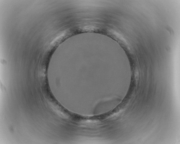 X0000091240737200708091435