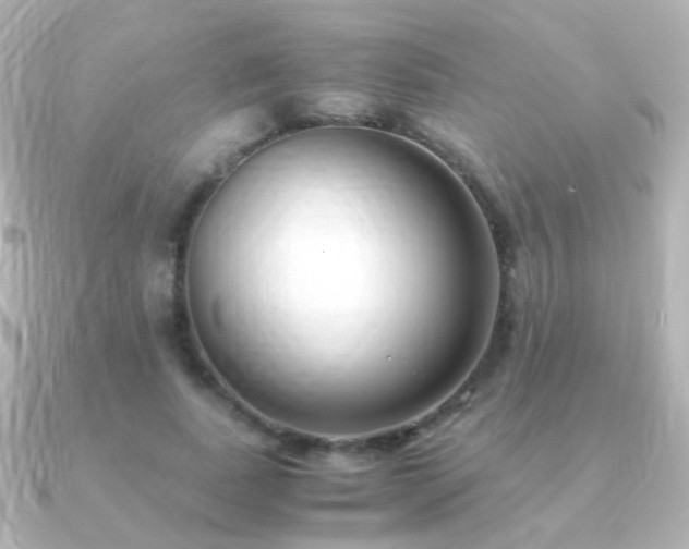 X0000091240739200708091435