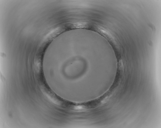 X0000091240741200708091435