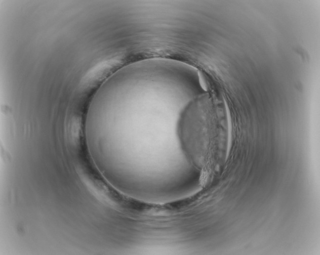 X0000091240742200708091435
