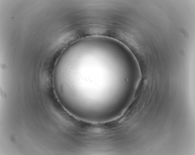 X0000091240743200708091435