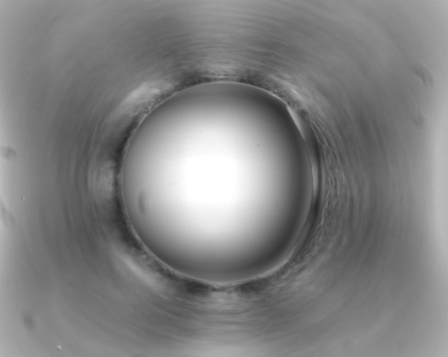 X0000091240744200708091435