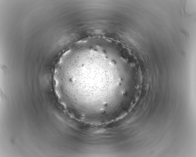 X0000091240747200708091435
