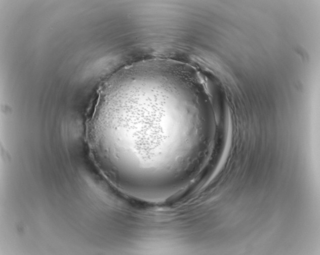 X0000091240748200708091435