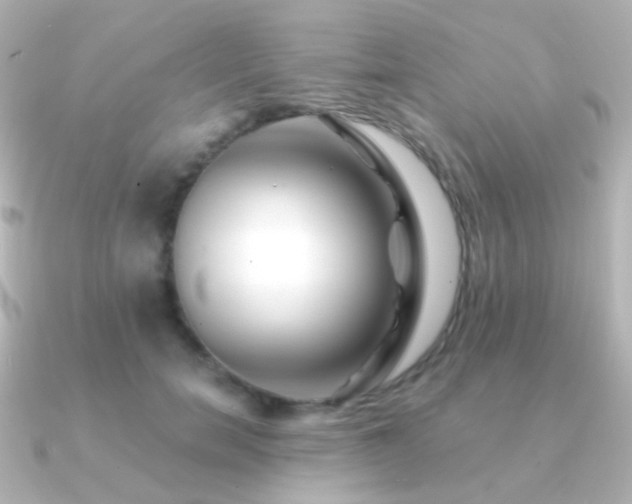X0000091240750200708091435