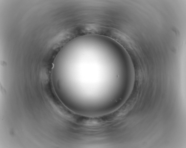 X0000091240751200708091435