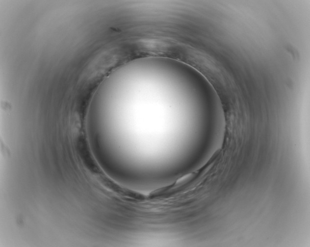 X0000091240752200708091435