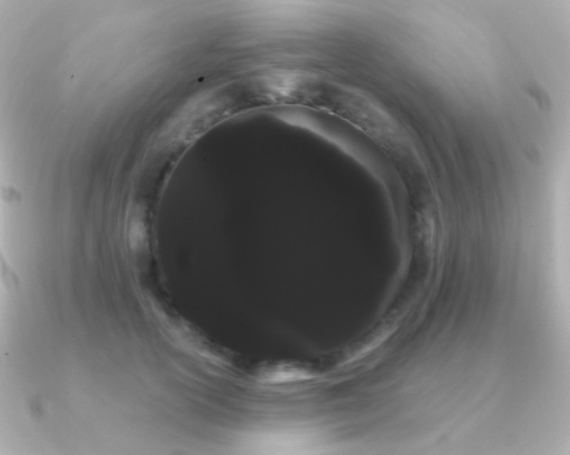 X0000091240754200708091435