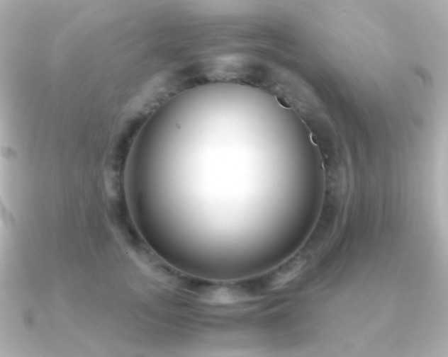 X0000091240755200708091435