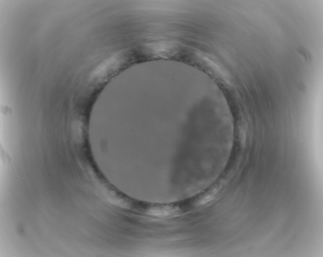 X0000091240757200708091435