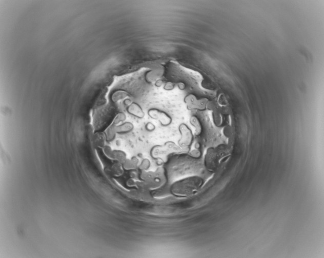 X0000091240758200708091435
