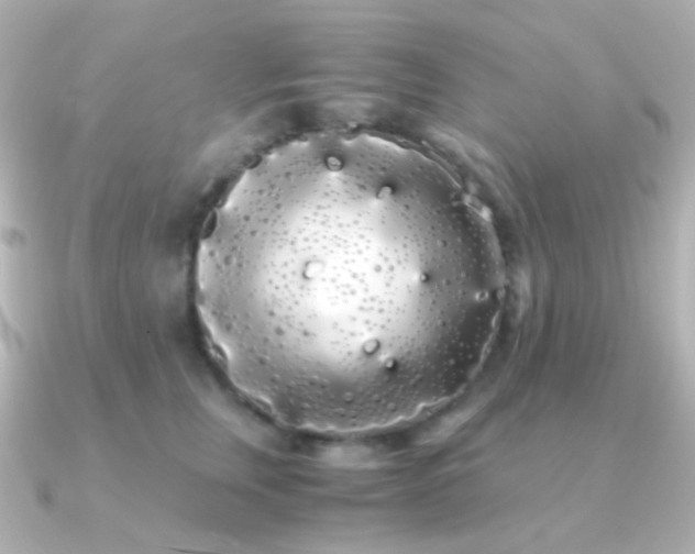X0000091240759200708091435