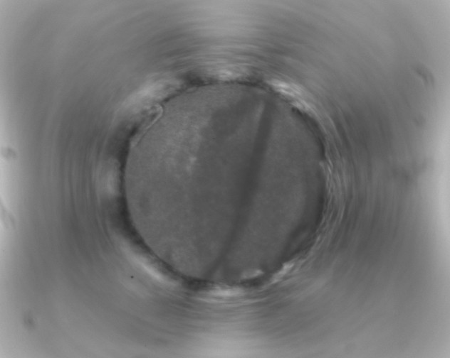 X0000091240760200708091435