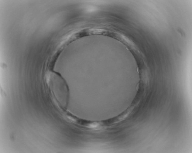 X0000091240761200708091435
