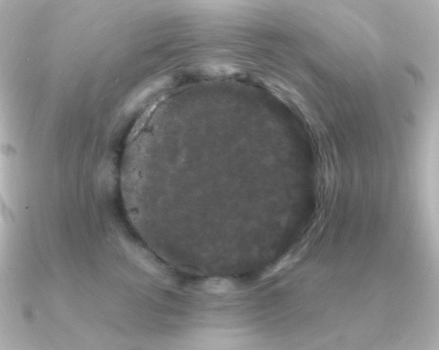 X0000091240762200708091435
